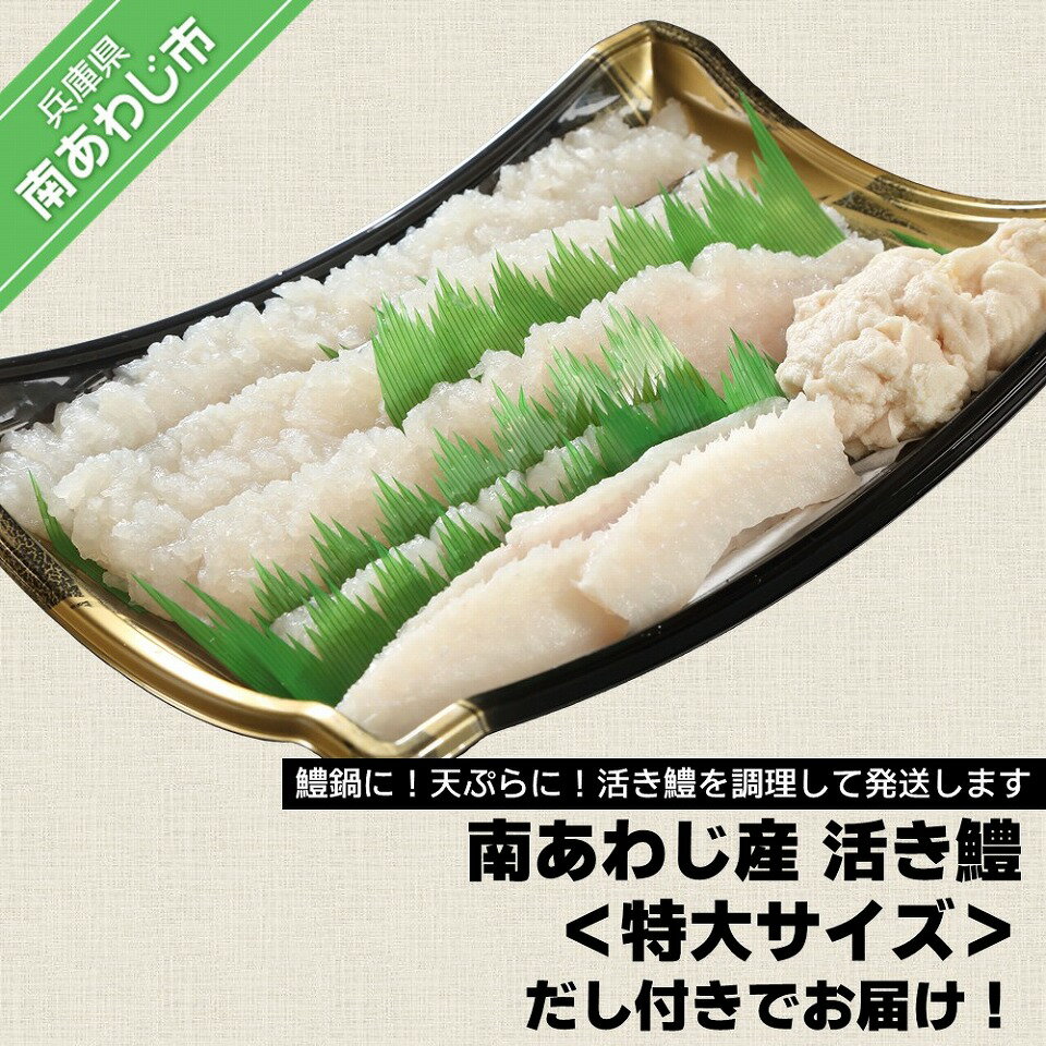 その他水産物(ハモ)人気ランク14位　口コミ数「2件」評価「5」「【ふるさと納税】 ふるさと納税 おすすめ ［南あわじのハモ］南あわじ産 活き鱧＜特大サイズ＞だし付きでお届け！【配送7月11日～8月31日】淡路島 魚 旬 ハモ 鱧 海鮮 海産物 魚介 魚介類 ギフト 贈答 お中元 お取り寄せ グルメ プレゼント おつまみ 国産 食品 送料無料」