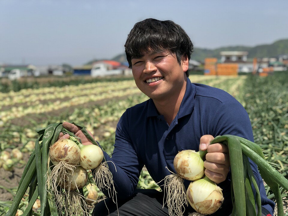 【ふるさと納税】原田さんの玉ねぎ5kg☆ひょうご安心ブランド認証特別栽培