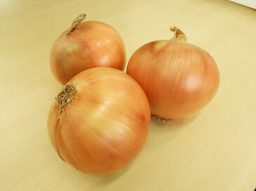 【ふるさと納税】原田さんの玉ねぎ5kg☆ひょうご安心ブランド認証特別栽培