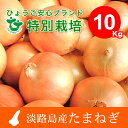 【ふるさと納税】【10kg】兵庫県認証★特別栽培★淡路島たま