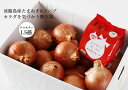 【ふるさと納税】島美人〜血液さらさら健康たまねぎ〜ケルリッチオニオンとローヤルオニオンスープをセットで! ◆配送7月下旬〜(4)