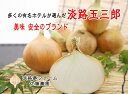 【ふるさと納税】【淡路夢ファーム】玉ねぎ(淡路玉三郎)【選べる 3kg/5kg/10kg】