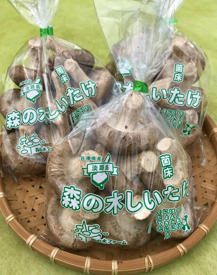 【ふるさと納税】【森の木ファーム】淡路島産の菌床生椎茸（しいたけ）