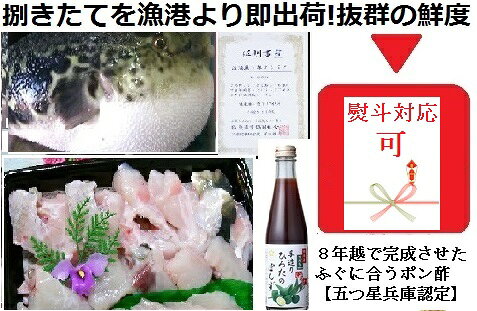 朝〆捌きたてを漁港直送【活きにこだわり】淡路島3年とらふぐ丸ごと1尾使用!【贅沢ふぐちりセット約4人前】五つ星兵庫認定の特選ポン酢付き