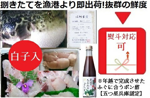【ふるさと納税】朝〆捌きたてを漁港直送【活きにこだわり】淡路島3年とらふぐ丸ごと1尾使用!【白子入り贅沢ふぐちりセット約4人前】五つ星兵庫認定の特選ポン酢付きのサムネイル