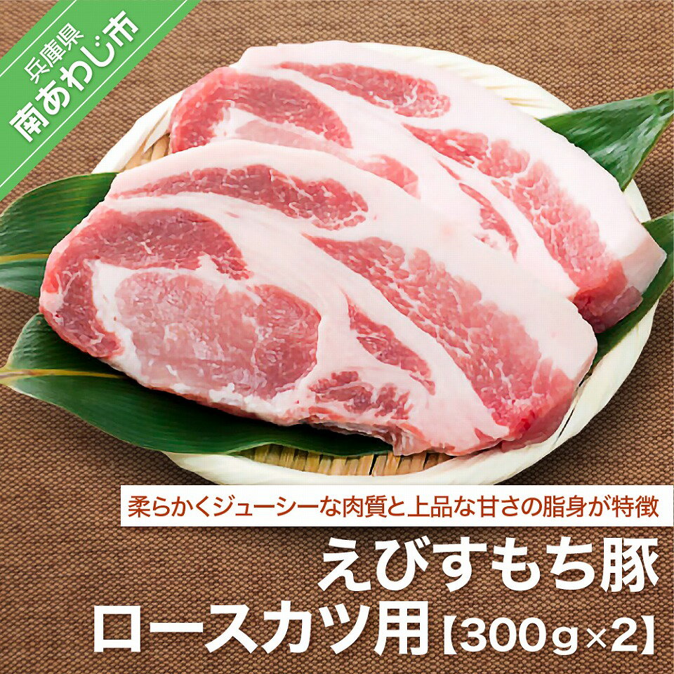 【ふるさと納税】えびすもち豚ロースカツ用（300g×2）のサムネイル