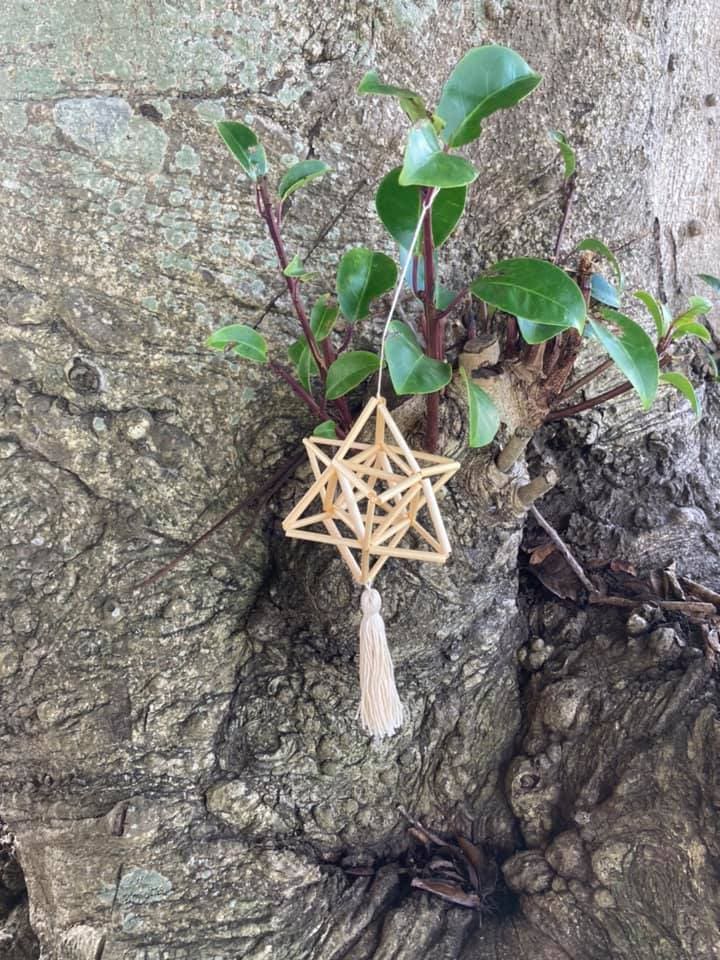 �ڤդ뤵��Ǽ�ǡۡ�Papilio�۸��Υ�ӡ���֥ҥ���ס��ޥ���