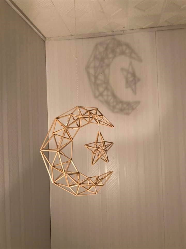 �ڤդ뤵��Ǽ�ǡۡ�Papilio�۸��Υ�ӡ���֥ҥ���ס������