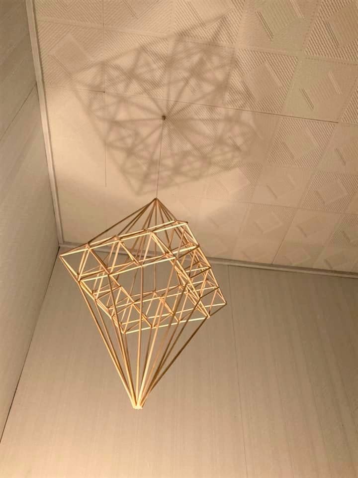 �ڤդ뤵��Ǽ�ǡۡ�Papilio�۸��Υ�ӡ���֥ҥ���ס���������