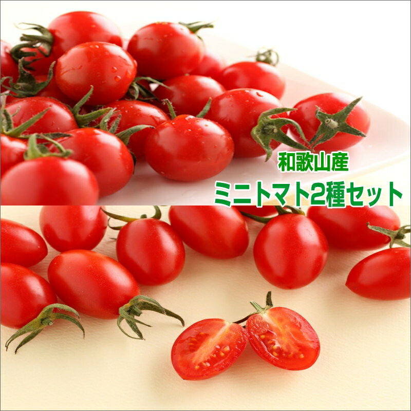 アイテムID:363931の画像1枚目