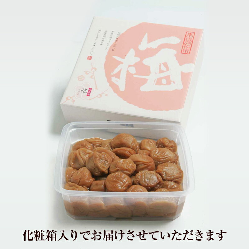 【 まとめ買い20個セット 】 こどもIQキャンディ DHA配合 10本入