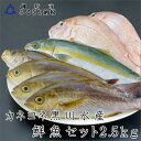 22位! 口コミ数「22件」評価「4」御坊産　鮮魚セット2.5kg 鮮魚 天然 詰め合わせ 朝どれ 冷蔵 新鮮 アジ サバ タチウオ 太刀魚 タイ 漁港 和歌山県産 御坊産 送料･･･ 