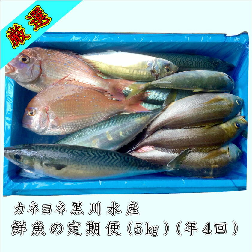 御坊産鮮魚セット 5kg 【定期便】(年4回お届け)【配送不可地域】沖縄・北海道・東北・九州 発送時期が選べる