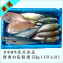 【ふるさと納税】御坊産鮮魚セット 5kg 【定期便】(年4回