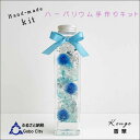 【ふるさと納税】ハーバリウムキット(ブルー・ピンク・イエロー)