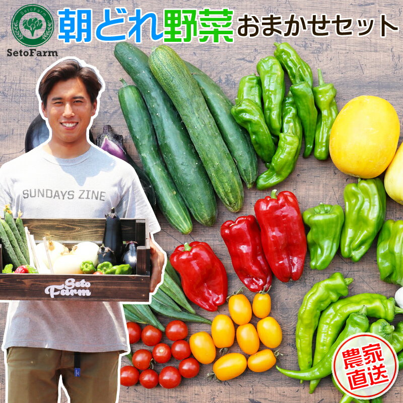 【ふるさと納税】栽培期間中農薬不使用　朝どれおまかせ野菜セット