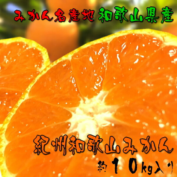 25位! 口コミ数「0件」評価「0」【産地直送】ご家庭用濃厚和歌山みかん たっぷり約10kg《先行予約》