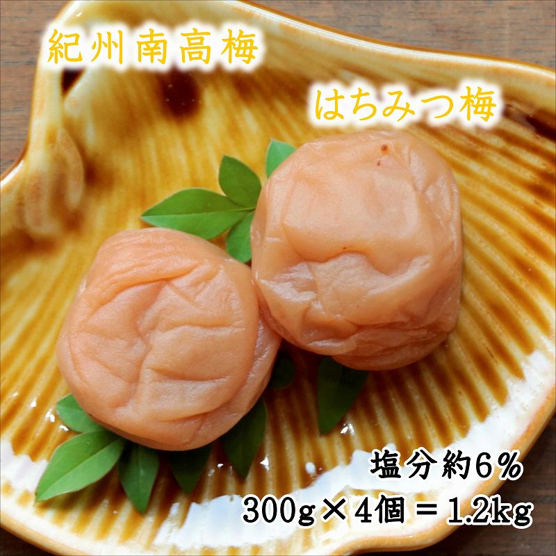 記事番号:35028/アイテムID:245750の画像