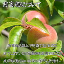 和歌山県御坊市の画像2