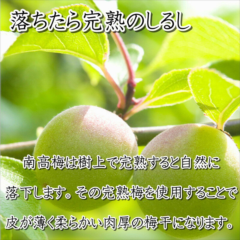 【ふるさと納税】贈答 紀州南高梅 白干梅木樽入り 1kg 梅干し 梅干 うめぼし 送料...