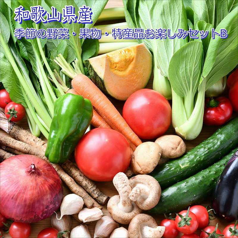 【ふるさと納税】季節の野菜・果物・特産品お楽しみ詰め合わせセットB
