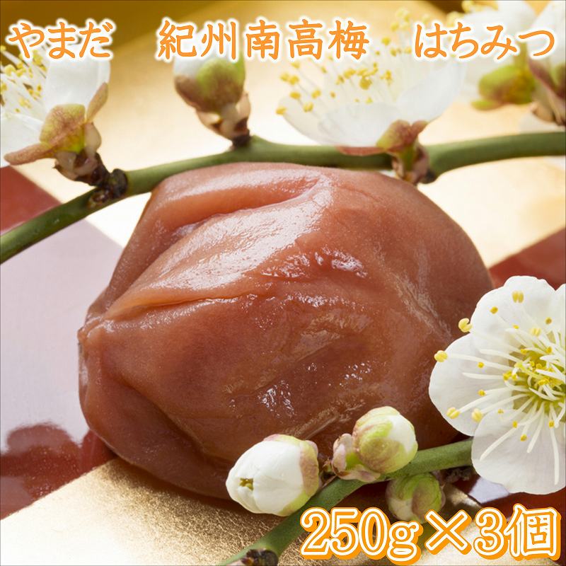 【ふるさと納税】やまだ 南高梅はちみつ梅(250g×3個)