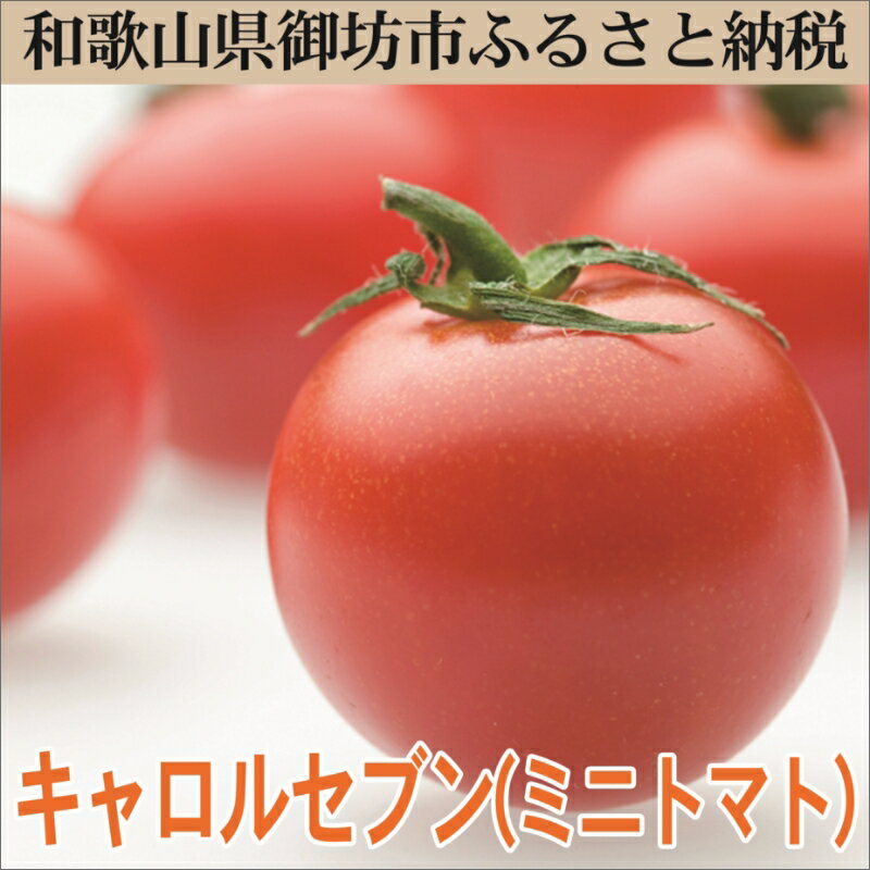 【ふるさと納税】御坊市　旬の野菜・果物定期便（春・夏・秋・冬）4回　B