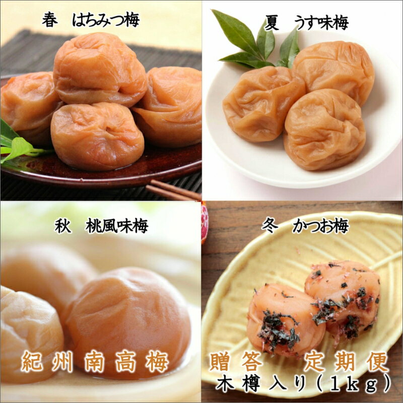 【ふるさと納税】御坊市 紀州南高梅の贈答定期便(春・夏・秋・冬)4回 A