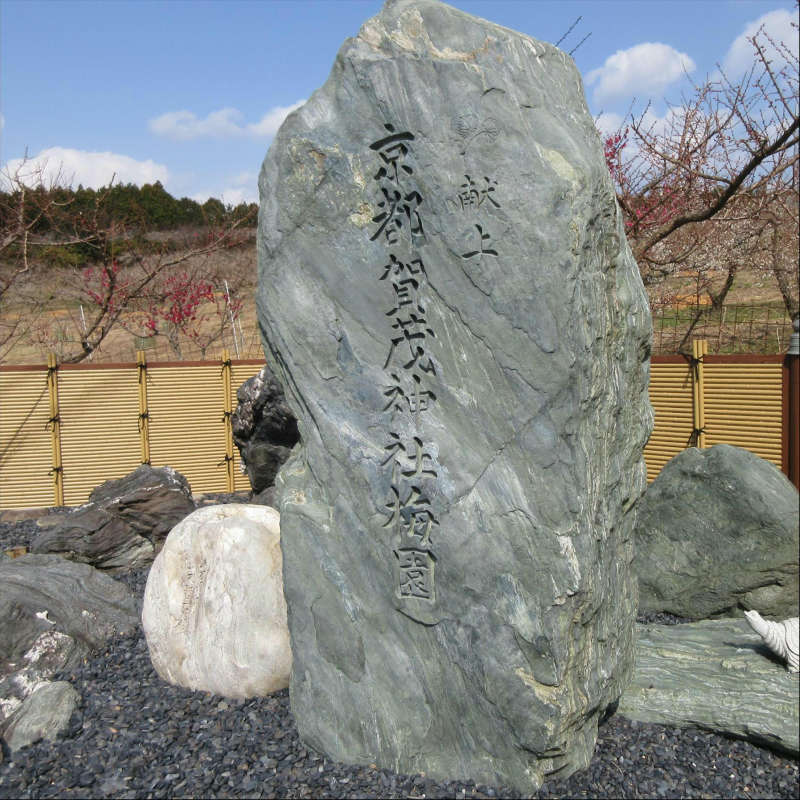 【ふるさと納税】和歌山県産 しそ漬け梅 1kgの紹介画像3