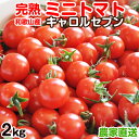 【ふるさと納税】完熟 ミニトマト(キャロルセブン)約2kg トマト農家直送 和歌山県産【配送不可地域 ...