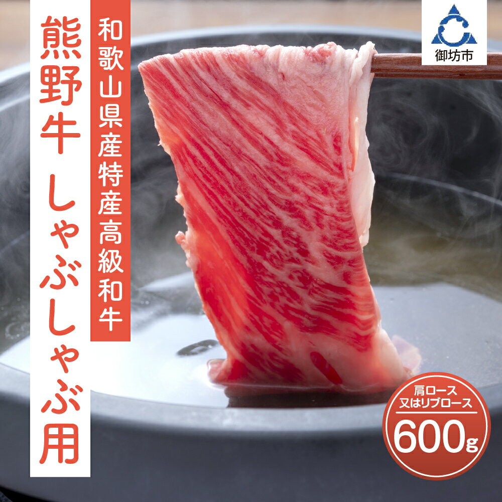 記事ID36652のサムネイル画像