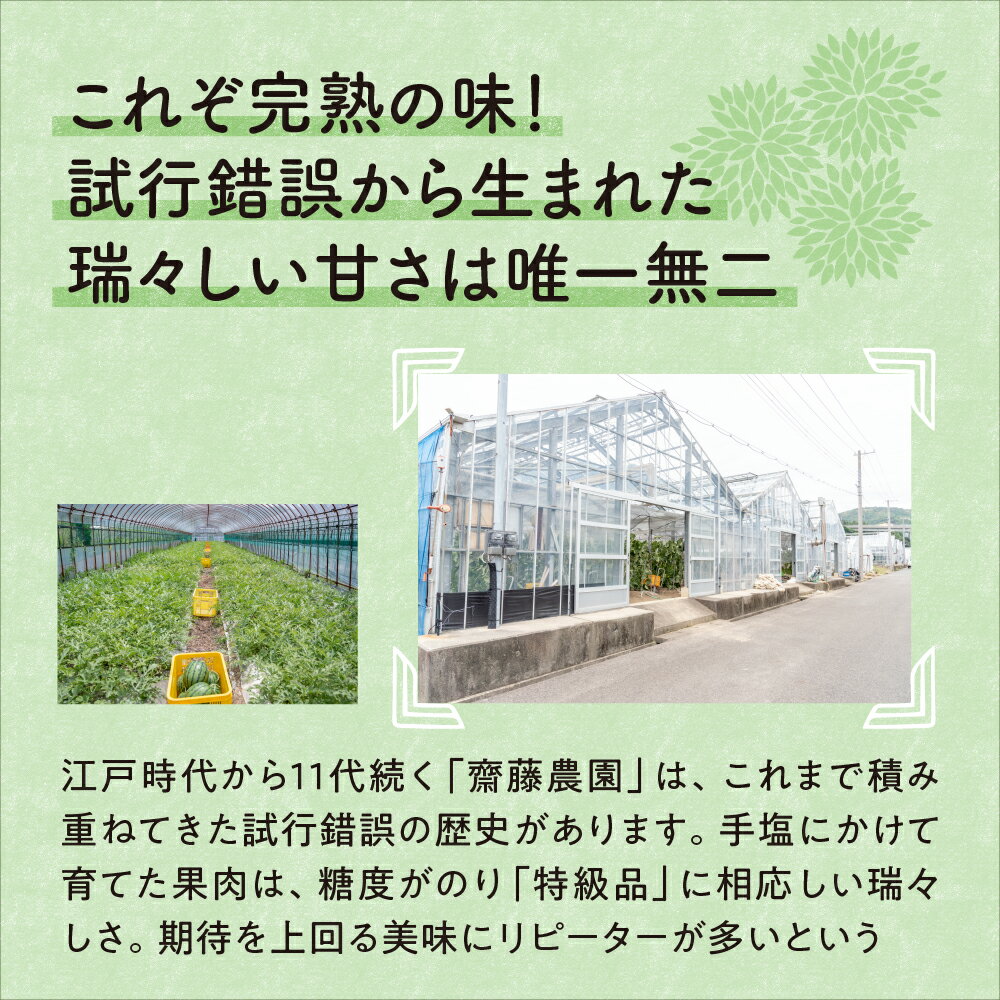 【ふるさと納税】斎藤農園のアールスメロン(マスクメロン)2玉3kg程度≪先行予約2024年6月下旬以降発送分≫【配送不可地域：北海道・青森・秋田・岩手・沖縄・離島】ふるさと納税 メロン 先行予約 ふるさと納税 フルーツ 予約 2玉 くだもの 果物 送料無料 マスクメロン