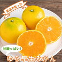 【ふるさと納税】ゆら早生みかん(紀州和歌山)ご家庭用10kg《先行予約》