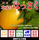 【ふるさと納税】【新鮮果実】木成りはっさく 10kg(M〜3...