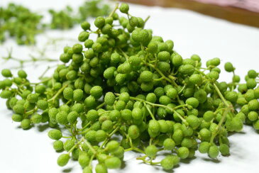 【ふるさと納税】紀州湯浅湾直送!茹でたて釜揚げしらす(200g×2)と ちりめん山椒(200g×2)セット 【冷凍】