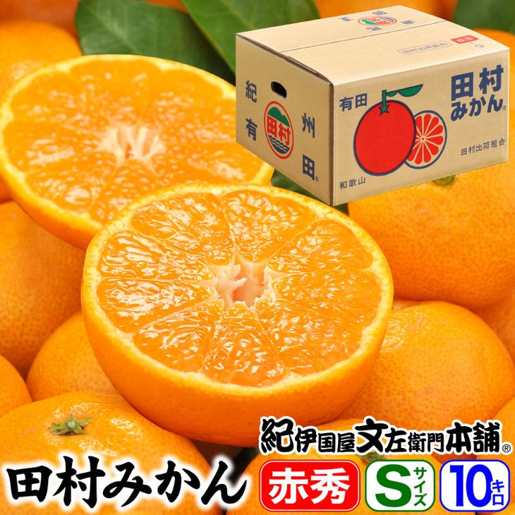 47位! 口コミ数「7件」評価「3.43」【2024年 先行予約】田村みかん／特選ギフト品10kg【Sサイズ】赤秀／紀州和歌山有田郡湯浅町田村地区産／最高級プレミアムブランドの田村ミ･･･ 