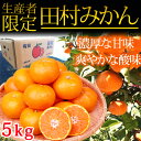 【ふるさと納税】■【生産者限定】高級ブランド田村みかん 5k