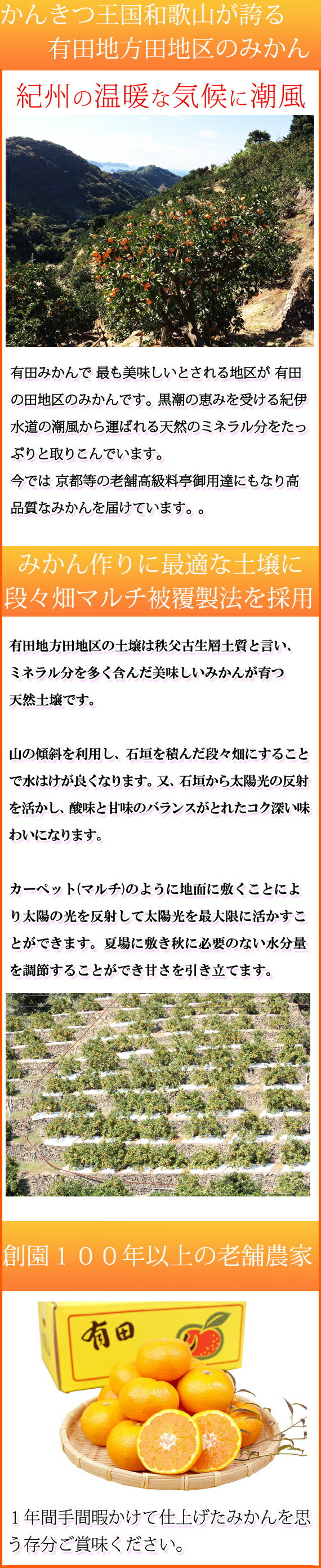 【ふるさと納税】田村みかん果汁100％ジュース　200ml×8が大人気返礼品になっている理由とは　ふるさと納税　人気　返礼品　ランキング