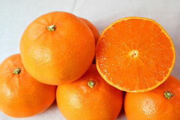 【ふるさと納税】■とろける食感！ジューシー柑橘　せとか　約2.5kg※2021年2月上旬頃〜2月下旬頃に順次発送予定◆