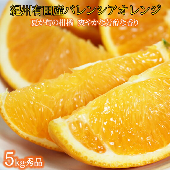 【ふるさと納税】希少な 国産 バレンシアオレンジ 5kg 秀品【国産オレンジ オレンジ 柑橘 フルーツ 和歌山 有田】