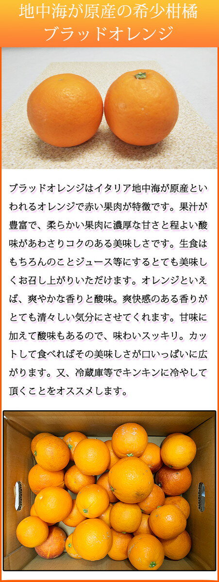 【ふるさと納税】【先行予約】希少な柑橘！ 紀州 有田産 ブラッドオレンジ 3kg 【訳あり・ご家庭用】【国産オレンジ オレンジ 柑橘 フルーツ】