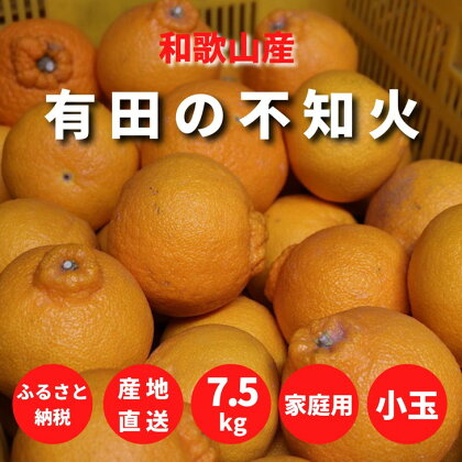 和歌山県産 有田の 不知火 (しらぬひ)【 訳あり 家庭用 】7.5kg 小玉 S～Lサイズ混合【まごころ手選別】【でこぽん デコポン しらぬい 不知火 柑橘】