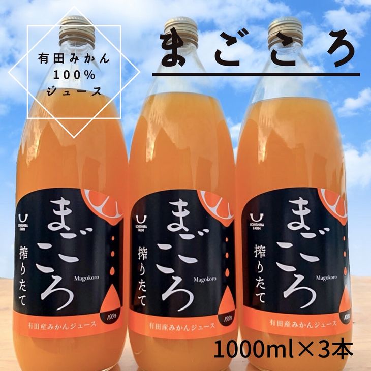 【ふるさと納税】「まごころ」有田みかん 100％ ジュース 1000ml 3本 セット 化粧箱入り【和歌山 ミカンジュース ストレート 果汁100% ギフト 贈答】