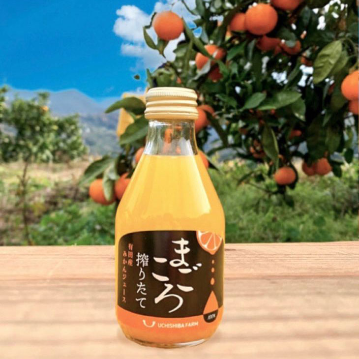 「まごころ」有田みかん 100% ジュース 180ml 6本 セット[和歌山 ミカンジュース ストレート 果汁100%]