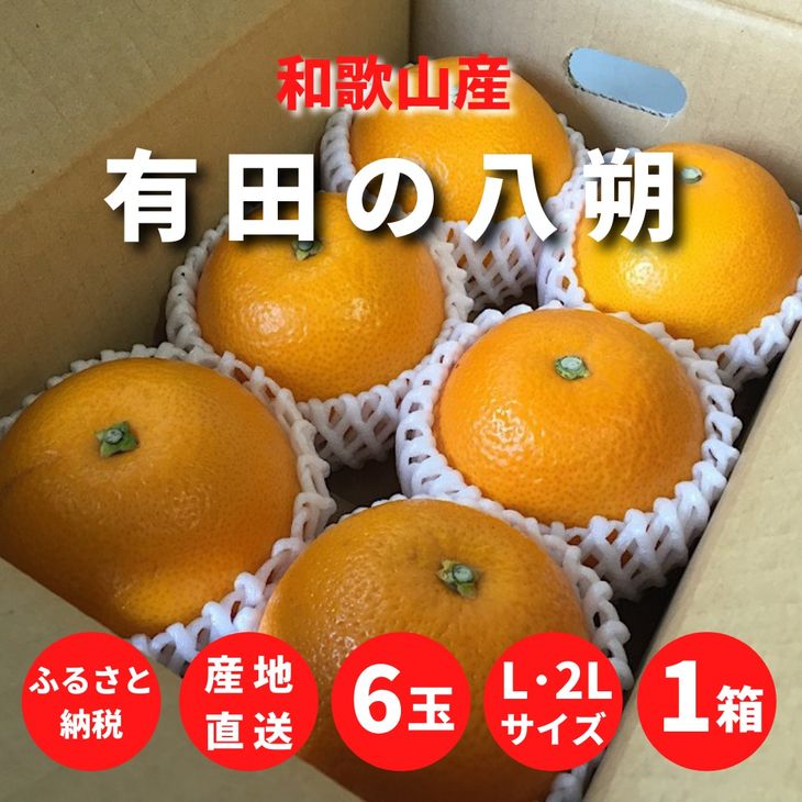 【ふるさと納税】【先行予約】和歌山県産 有田の 八朔 (はっさく) 6玉 L～2Lサイズ【まごころ手選別】【はっさく ハッサク 八朔 和歌山産】