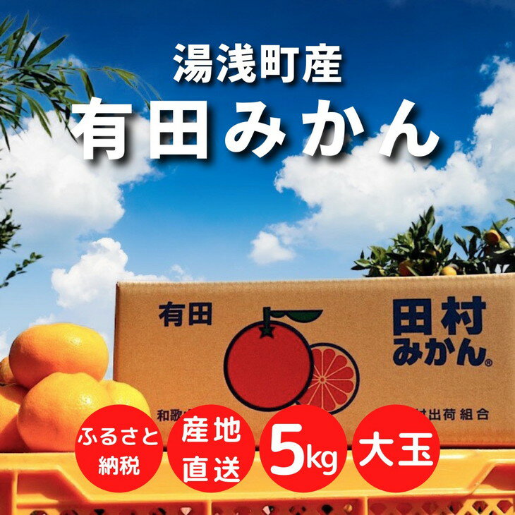 【ふるさと納税】【大玉】和歌山 湯浅町産 田村みかん 5kg ※2021年11月上旬〜2022年1月下旬頃より順次発送予定 ※着日指定不可