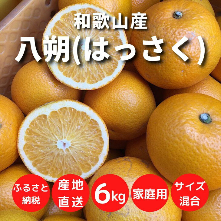 【ふるさと納税】【先行予約】和歌山県産 有田の 八朔 はっさく 【訳あり 家庭用】 6kg S～4Lサイズ混合 【まごころ手選別】【はっさく ハッサク 八朔 和歌山産】