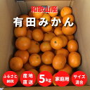 12位! 口コミ数「61件」評価「2.43」【先行予約】和歌山県産 有田みかん 【訳あり 家庭用】 5kg (2S～2Lサイズ混合)【まごころ手選別】【ミカン 蜜柑 温州みかん 柑橘 ･･･ 