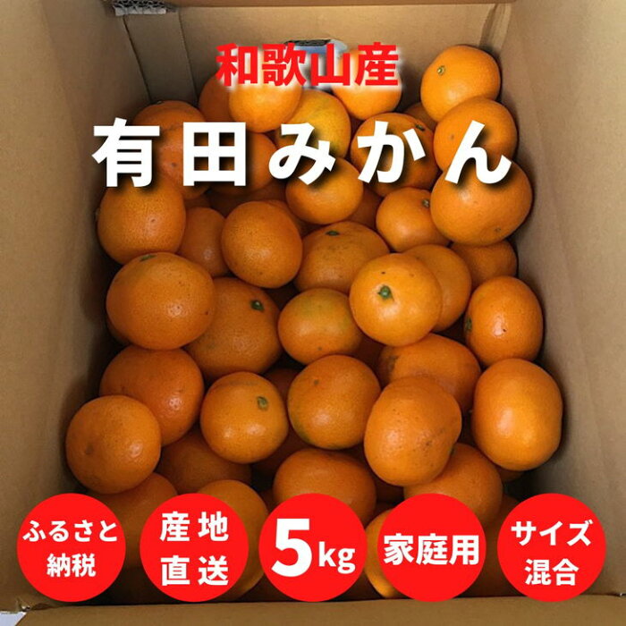 【ふるさと納税】和歌山県産 有田みかん 【訳あり 家庭用】 5kg (2S〜2Lサイズ混合)【まごころ手選別】【ミカン 蜜柑 温州みかん 柑橘 和歌山】