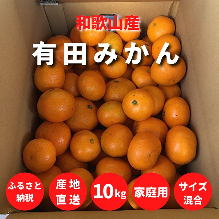 【ふるさと納税】【先行予約】和歌山県産 有田みかん 【訳あり 家庭用】 10kg (2S～2Lサイズ混合) 【まごころ手選別】【ミカン 蜜柑 温州みかん 柑橘 和歌山】